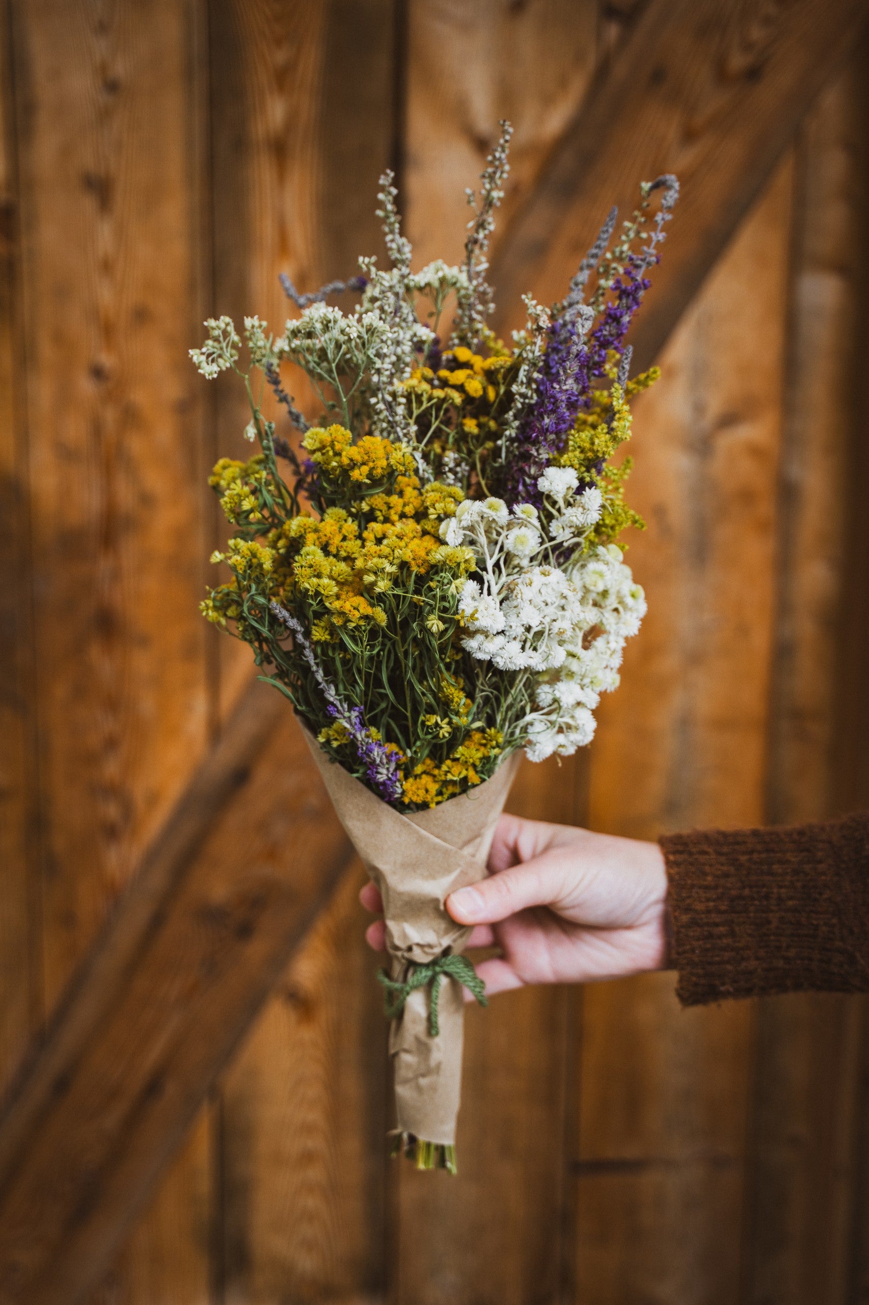 Bouquet de fleurs sauvages