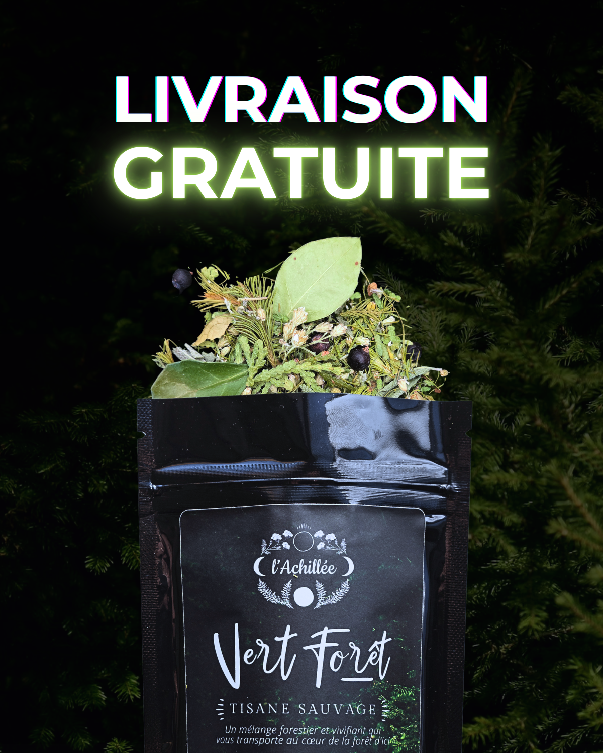 Vert-Forêt - Offre découverte